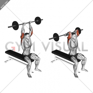 Barbell Seated Overhead Triceps Extension
