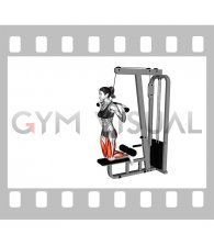 Cable Assisted Inverse Leg Curl (female)