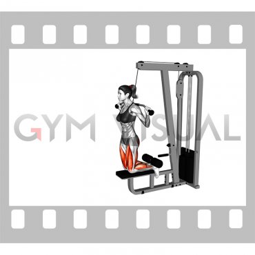 Cable Assisted Inverse Leg Curl (female)