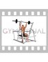 Barbell Seated Military Press (inside squat cage)