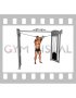 Cable Lat Pulldown Full Range Of Motion