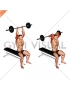 Barbell Seated Overhead Triceps Extension