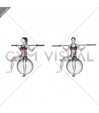 Barbell Seated Twist (on stability ball)