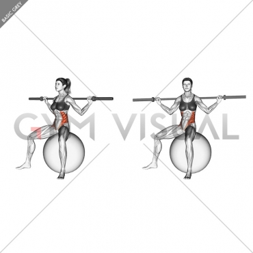 Barbell Seated Twist (on stability ball)