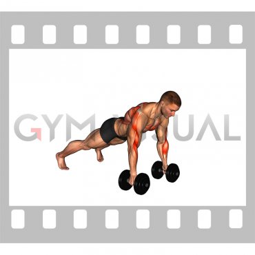 Dumbbell Renegade Row