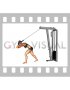 Cable High Pulley Overhead Triceps Extension (female)