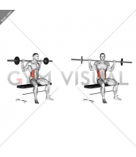 Barbell Seated Twist