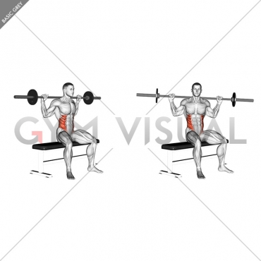 Barbell Seated Twist