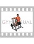 Lever Pronated Grip Seated Row (plate loaded)