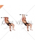 Cable Incline Triceps Extension