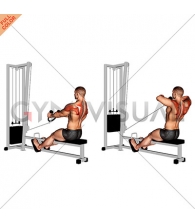 Cable Rear Delt Row (stirrups)