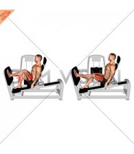 Lever Seated Single Leg Press (VERSION 2)