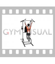 Pull-up (neutral grip) (female)