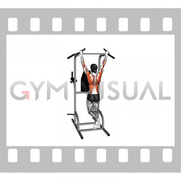 Pull-up (neutral grip) (female)