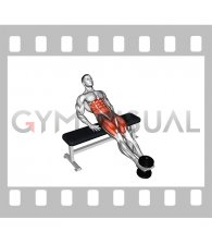 Weighted Twisting Crunch (on bench) (male)