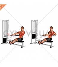 Cable Seated Wide-grip Row