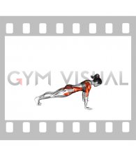 Push-up to Side Plank (female)