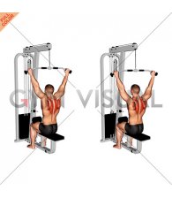 Cable Seated Reverse Shrug (male)