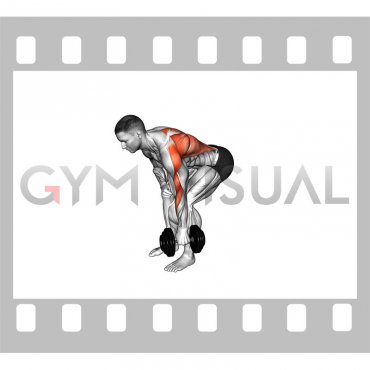 Dumbbell Single Arm Bent Over Row