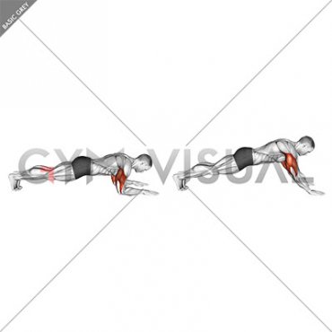 Bodyweight Triceps Extension from Plank Position (male)