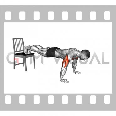 Decline Push-up with Chair (male)