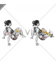 Resistance Band Seated Bent Knee Abduction (female)