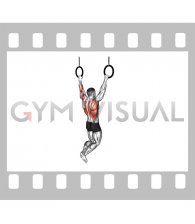 Ring Wide Pull-up (male)