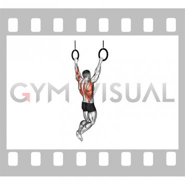 Ring Wide Pull-up (male)