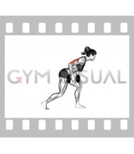 Dumbbell One Arm Kickback (female)