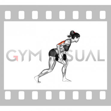 Dumbbell One Arm Kickback (female)