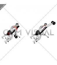 Dumbbell Incline Single Arm Y Raise