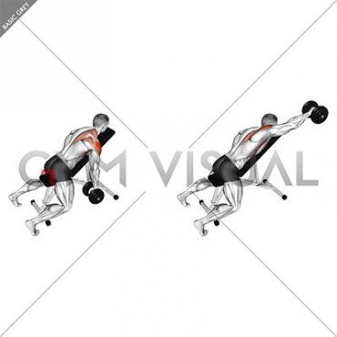 Dumbbell Incline Single Arm Y Raise