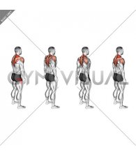 Standing Scapular Rotation (male)