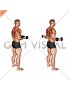 Dumbbell Standing Scapular External Rotation (male)