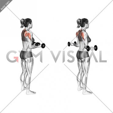 Dumbbell Standing Scapular External Rotation (female)