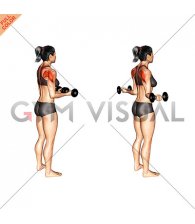 Dumbbell Standing Scapular External Rotation (female)