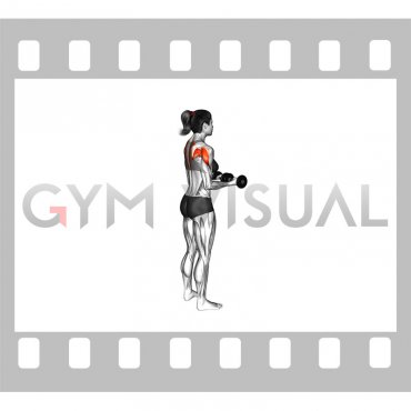 Dumbbell Standing Scapula External Rotation (female)