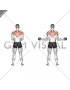 Dumbbell Standing Scapular External Rotation (male)