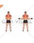 Dumbbell Standing Scapular External Rotation (male)