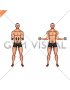 Dumbbell Standing Scapular External Rotation (male)