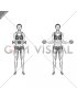 Dumbbell Standing Scapular External Rotation (female)