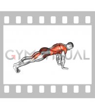 Power Point Plank