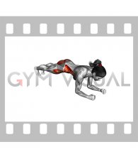 Side Step Front Plank (female)