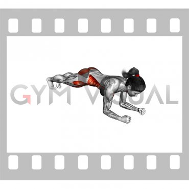 Side Step Front Plank (female)