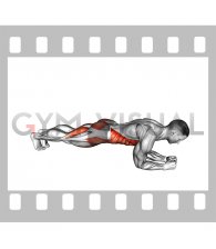 Leg Lift to Chest Front Plank
