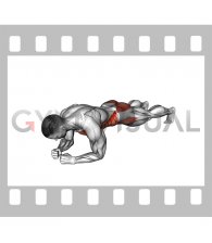 One Arm Front Plank