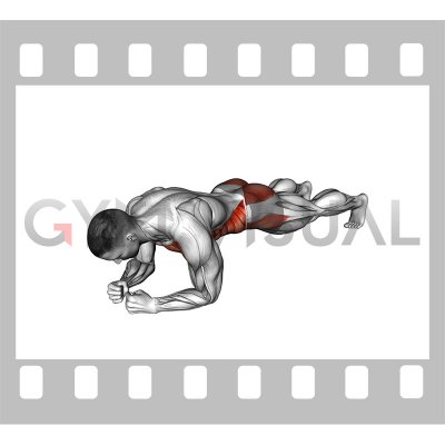 One Arm Front Plank