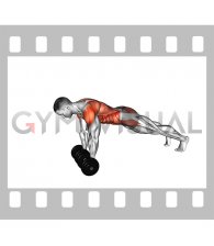 Dumbbell Front Plank Arm Raise