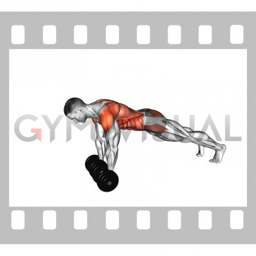 Dumbbell Front Plank Arm Raise