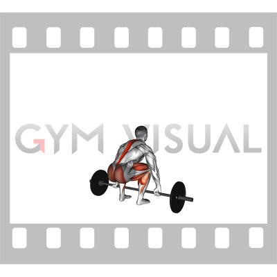 https://gymvisual.com/31827-thickbox_default/barbell-hook-grip-deadlift-male.jpg